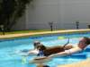 Photo Number 9
